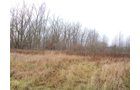 Property photo 1 - 62.7 Acres in 2 Tracts - Recreation and Potential Building Sites
